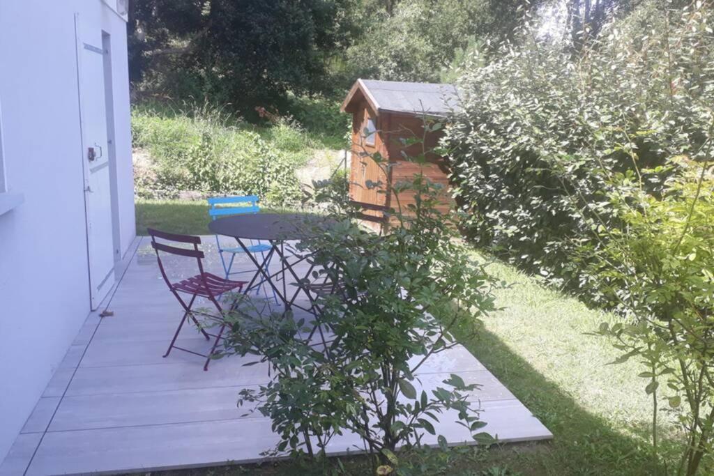 Les Echappees Belles - Entre Ocean Et Foret Tarnos