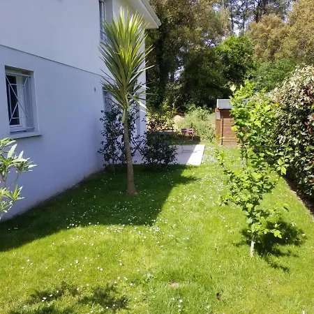 Les Echappees Belles - Studio Entre Ocean Et Foret Tarnos Exterior photo